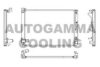 AUTOGAMMA 107362 Radiator, engine cooling